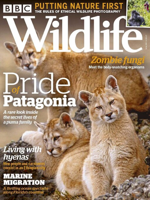 Title details for BBC Wildlife Magazine by Our Media Limited - Available